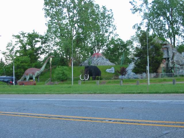 Irish Hills Area - Prehistoric Forest